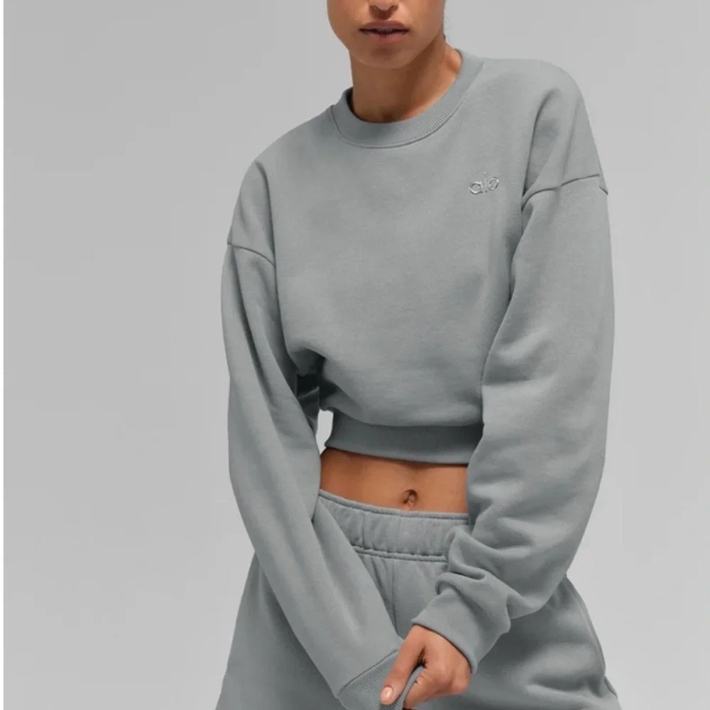 ALO Yoga Lunar Gray Cropped Hoodie NWT Size Medium